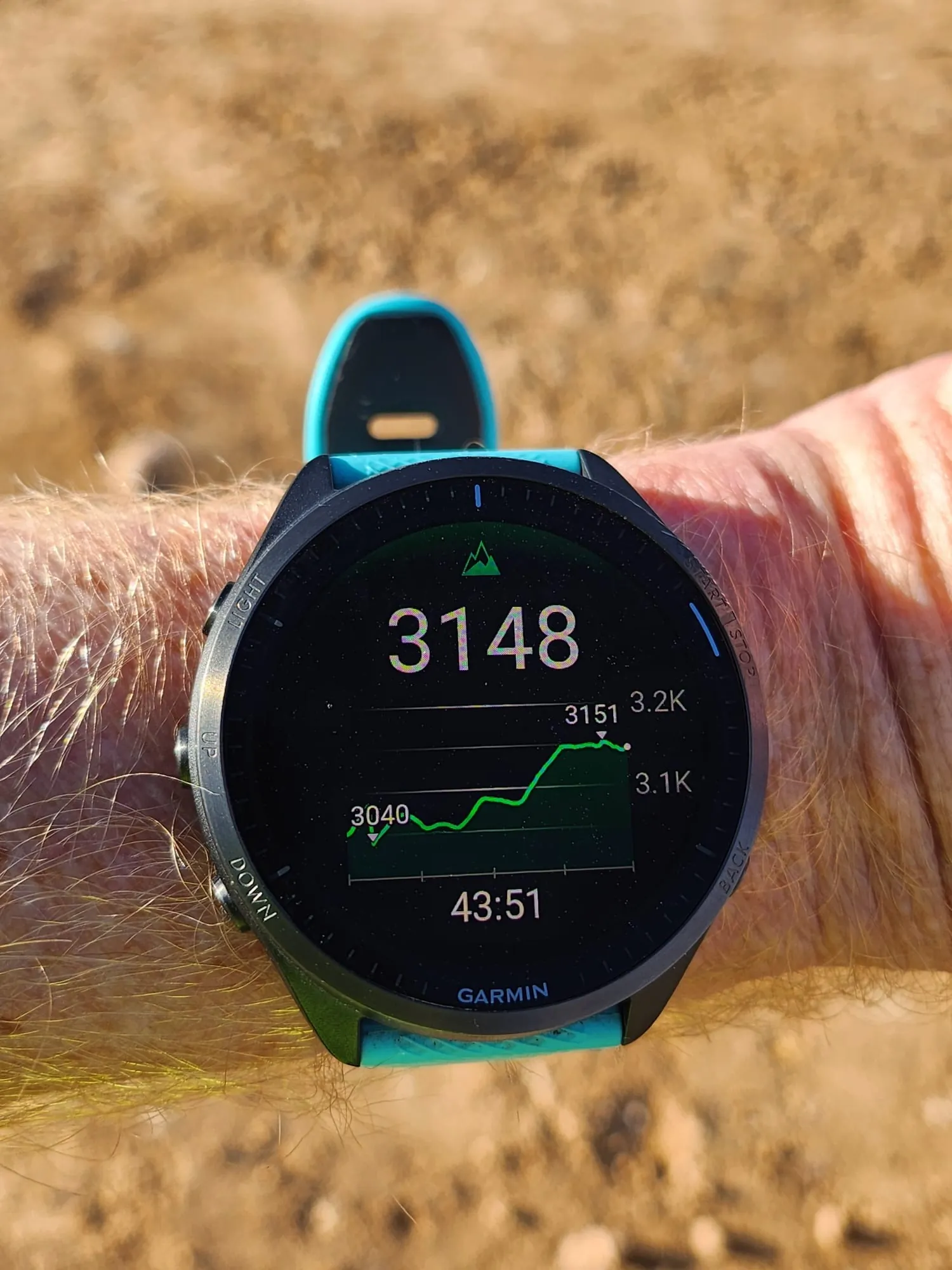 Garmin hardloophorloge met blauwe band toont de hoogtemeter tijdens een run.