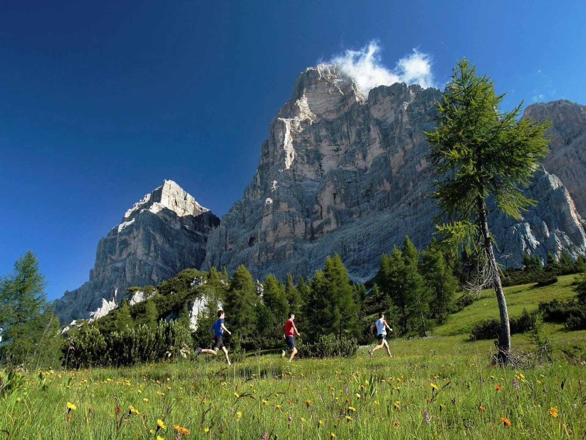 Trailrunners op een bergpad in Europa